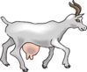 Side View Goat Clip Art